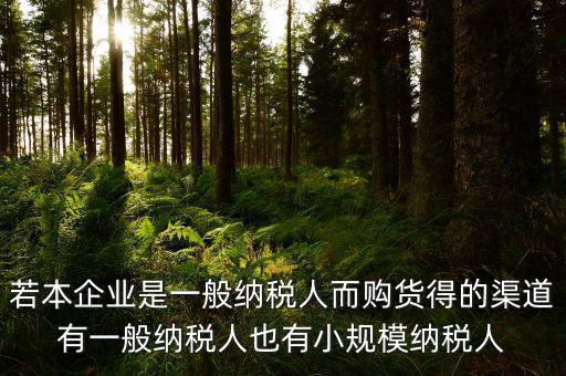 若本企業(yè)是一般納稅人而購(gòu)貨得的渠道有一般納稅人也有小規(guī)模納稅人
