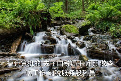 自動化進國稅局做什么，國稅是做什么工作的