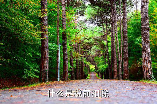 什么是專項(xiàng)稅前扣除，個(gè)稅app中的專項(xiàng)扣除什么意思