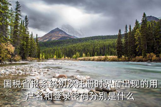 網(wǎng)上辦稅登入名是什么，稅務(wù)用戶名是什么啊