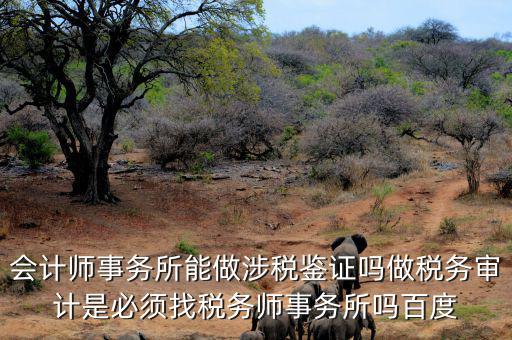 會(huì)計(jì)師事務(wù)所能做涉稅鑒證嗎做稅務(wù)審計(jì)是必須找稅務(wù)師事務(wù)所嗎百度