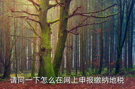 地稅個稅網(wǎng)址是什么，如何查詢個人所得稅明細