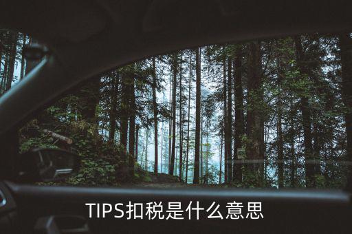 稅務(wù)tips是什么意思，tips扣稅是什么意思