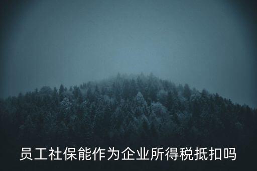 企業(yè)社保可以抵什么稅，員工社保能作為企業(yè)所得稅抵扣嗎