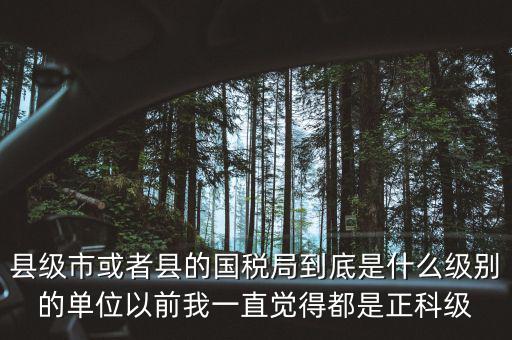 縣國稅局辦稅服務(wù)廳主任是什么級(jí)別，縣地稅局辦公室主任是什么行政級(jí)別