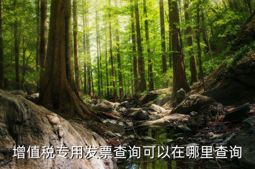 什么地方可以查發(fā)票內(nèi)容，怎樣通過發(fā)票號(hào)碼查尋發(fā)票內(nèi)容