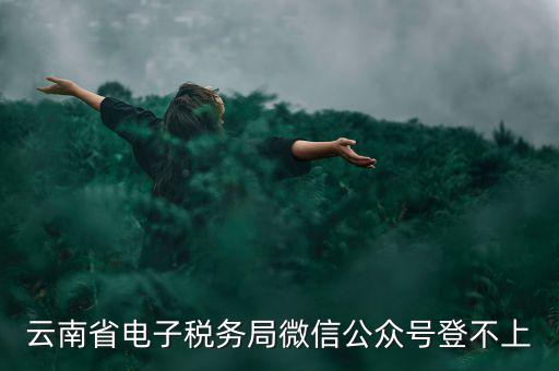為什么云南省國(guó)家稅務(wù)局進(jìn)不去，云南省電子稅務(wù)局微信公眾號(hào)登不上