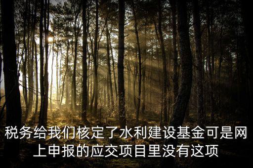 為什么水利建設(shè)無法申報(bào)，地稅電子稅務(wù)局的水利基金下滑找不到申報(bào)怎么辦