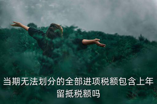 當(dāng)期無(wú)法劃分的全部進(jìn)項(xiàng)稅額包含上年留抵稅額嗎