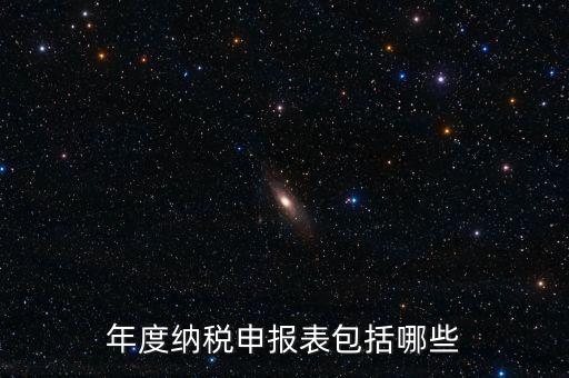 什么是年度納稅申報表，年度納稅申報表包括哪些