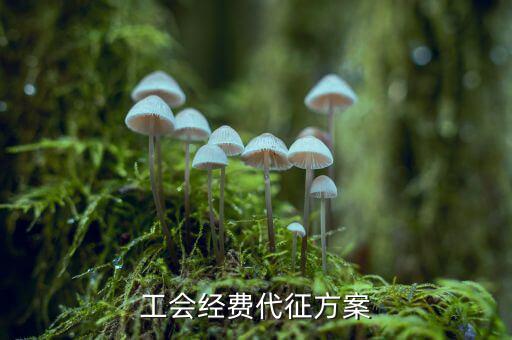 工會經(jīng)費為什么委托稅務(wù)機關(guān)代征，工會經(jīng)費交地稅局是怎么回事