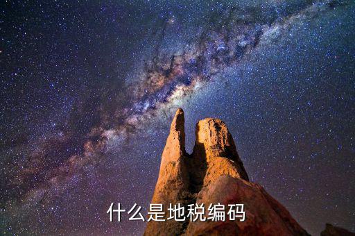 地稅編碼是什么意思，什么是地稅編碼