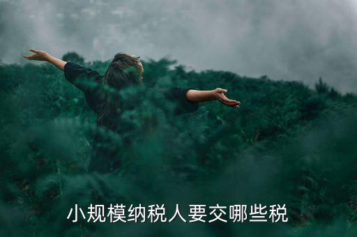 小規(guī)模納稅人報(bào)什么稅，小規(guī)模納稅人要交哪些稅