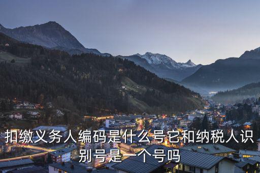 易稅門戶扣繳義務(wù)人編碼是什么，易稅門戶中扣繳義務(wù)人編碼指什么