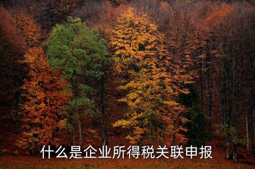 稅務(wù)關(guān)聯(lián)表是什么意思，所得稅中關(guān)聯(lián)關(guān)系是什么意思