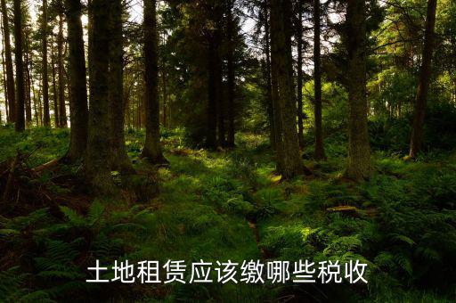 租賃政府土地交什么稅，土地使用權(quán)租賃要交哪些稅