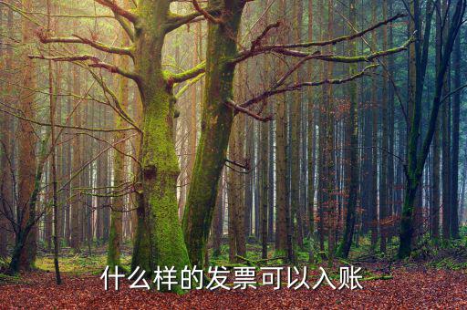 都什么發(fā)票可以走賬，什么樣的發(fā)票才可以走帳