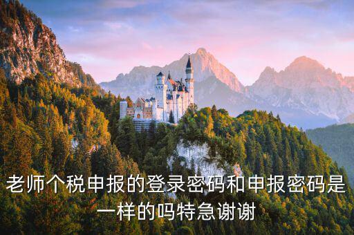 安徽個(gè)稅申報(bào)密碼是什么，老師個(gè)稅申報(bào)的登錄密碼和申報(bào)密碼是一樣的嗎特急謝謝