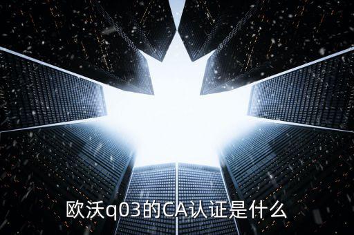 ca認證密碼是什么，歐沃q03的CA認證是什么