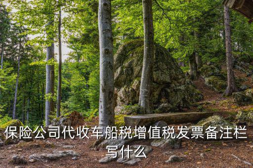 保險(xiǎn)公司代開車船稅備注注什么，請(qǐng)問一下發(fā)票備注欄能夠?qū)懯裁?/></a></span><span id=
