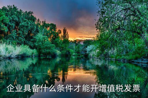 什么企業(yè)增值稅發(fā)票，企業(yè)具備什么條件才能開(kāi)增值稅發(fā)票