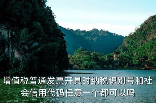 發(fā)票 社會代碼是什么意思，現(xiàn)在開發(fā)票要的社會信用代碼是誰的代碼