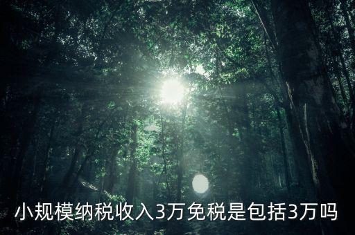 3萬免稅是指什么，小規(guī)模納稅收入3萬免稅是包括3萬嗎