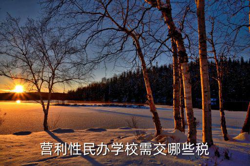 學(xué)校要交什么稅，營(yíng)利性民辦學(xué)校需交哪些稅