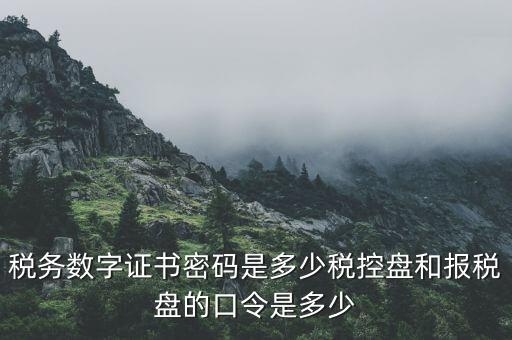 國稅申報(bào)ca默認(rèn)密碼是什么意思，國家稅務(wù)總局網(wǎng)上辦稅服務(wù)廳初始密碼是什么