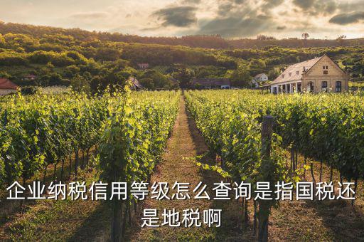 什么等級(jí)的公司報(bào)什么稅如何查，納稅等級(jí)查詢(xún)?cè)谀睦锊?/></a></span><span id=