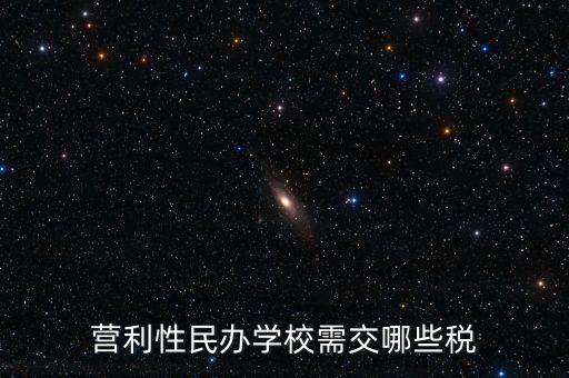 營(yíng)利性民辦學(xué)校需交哪些稅