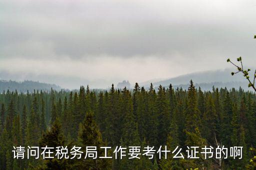 請(qǐng)問(wèn)在稅務(wù)局工作要考什么證書的啊