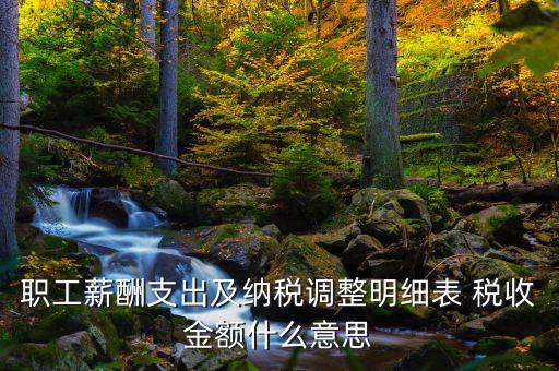 什么是納稅調(diào)整金額，職工薪酬支出及納稅調(diào)整明細表 稅收金額什么意思