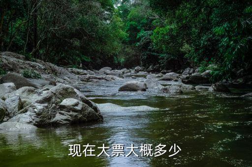 車輛大票是額多少什么，現(xiàn)在大票大概多少