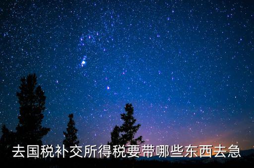 去國稅補(bǔ)繳增值稅要帶什么，增值稅零申報逾期申報了48天 到國稅補(bǔ)申報需要準(zhǔn)備什么資料 帶什么