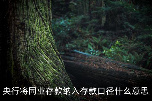 業(yè)務(wù)口徑是什么意思，銀行說(shuō)的十四行口徑是什么意思