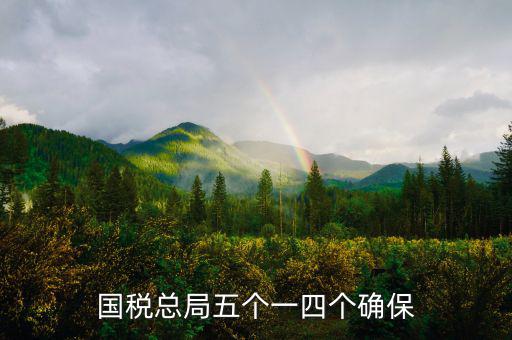 稅務(wù)局五個一是什么意思，國稅總局五個一四個確保