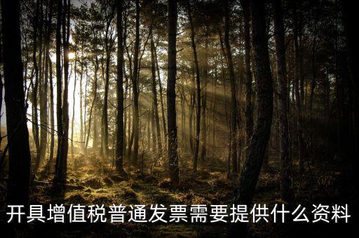 開增值稅提供什么資料，開具增值稅普通發(fā)票需要提供什么資料