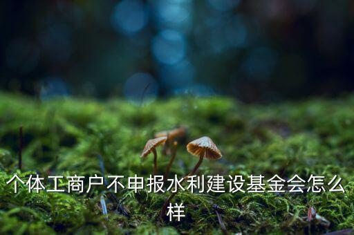 水利基金不報(bào)有什么后果，水利建設(shè)基金計(jì)稅當(dāng)月沒(méi)報(bào)有影響嗎