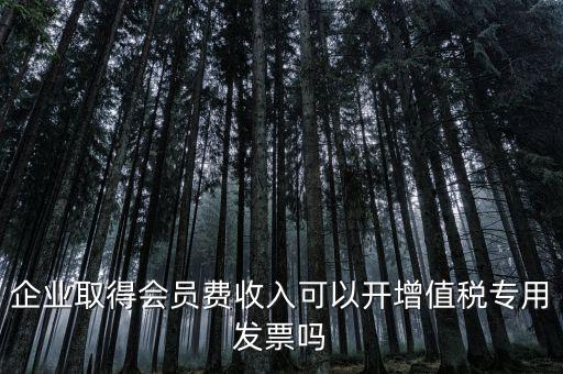 會費收入開什么票，協(xié)會能開哪些發(fā)票