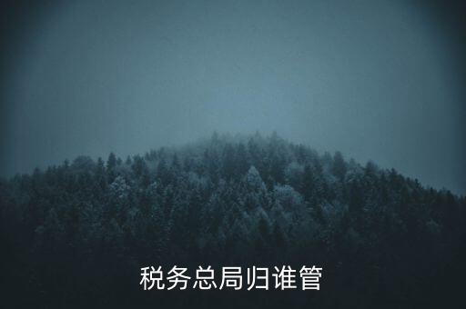 什么部門(mén)監(jiān)管?chē)?guó)稅務(wù)局，稅務(wù)局最怕什么部門(mén)