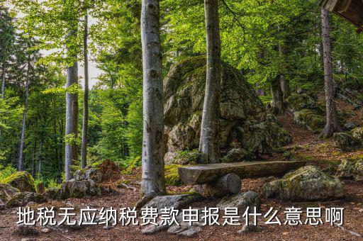 地稅無稅申報包括什么，地稅申報表無稅申報是什么意思我這個月要0申報是點擊