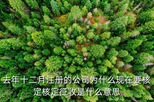 為什么核定征收收據(jù)，查賬征收為什么會(huì)轉(zhuǎn)為核定征收