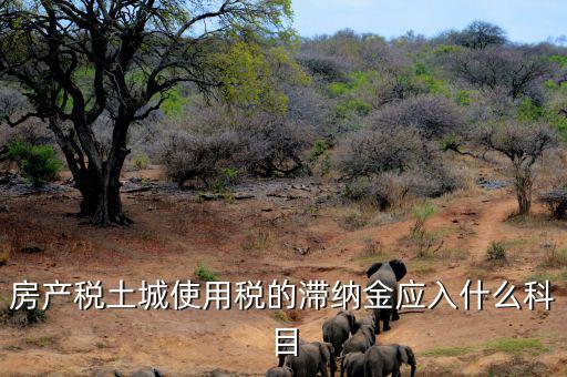 房產稅土城使用稅的滯納金應入什么科目