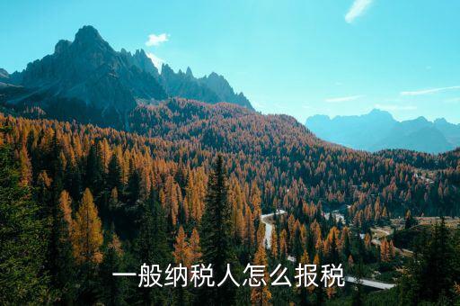 四川一般納稅人用什么申報國稅，一般納稅人報稅的詳細流程