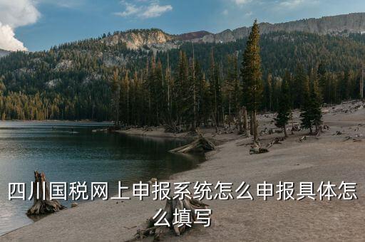 四川國(guó)稅網(wǎng)上申報(bào)系統(tǒng)怎么申報(bào)具體怎么填寫(xiě)