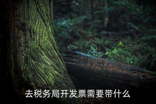 紹興市國稅購增值稅發(fā)票需要帶什么，到稅務(wù)局開增值稅專用發(fā)票帶什么