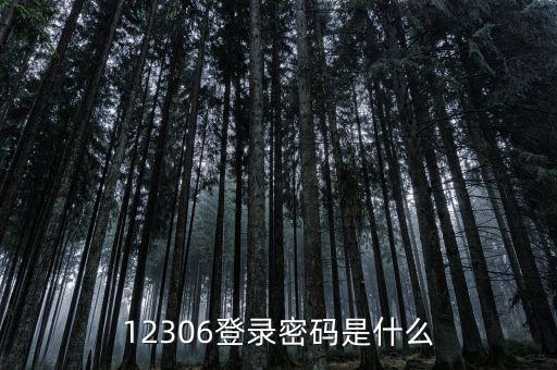 12306登錄密碼是什么