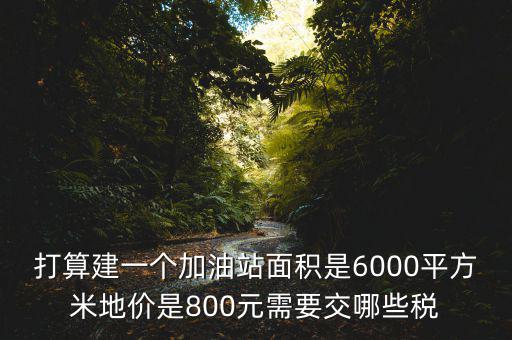 加油站都繳什么稅，打算建一個加油站面積是6000平方米地價是800元需要交哪些稅
