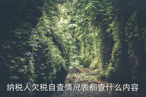重點(diǎn)納稅人走訪(fǎng)情況表是什么，納稅人自查情況說(shuō)明表里各項(xiàng)都填什么